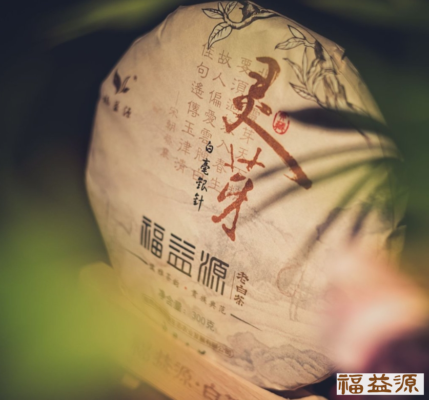 福益源,茶艺分享,白茶功效,茶艺和巾帼故事分享,老白茶的功效与作用,茶艺师分享会价格报告,白茶清欢